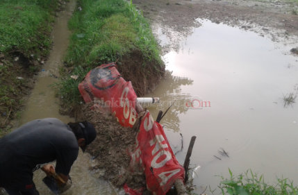 Tanggul Irigasi Jebol, Sawah Warga Bubulan Terdampak